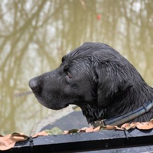 Meet your Posher, Jesse